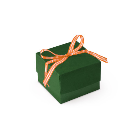 Schöne Geschenkbox mit Deckel und Schleife