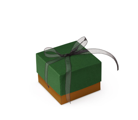 Bonita Caja Regalo con Tapa y Lazo Decorativo