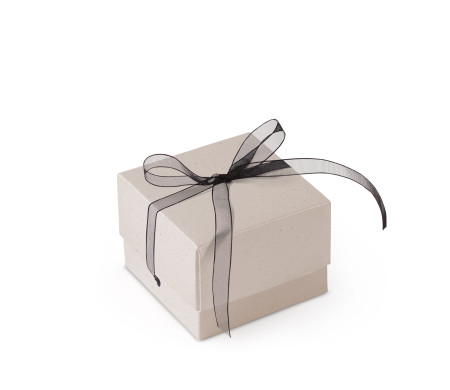Bonita Caja Regalo con Tapa y Lazo Decorativo
