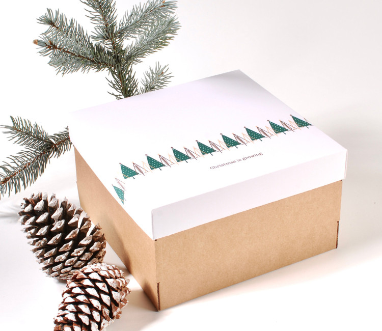 Scatola Quadrata con Coperchio Natale | SelfPackaging