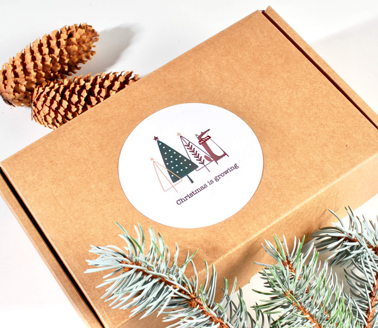 Large Sticker For Christmas Gifts | SelfPackaging