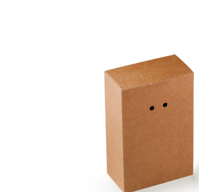 Boîte Cadeau en Carton avec Fermeture Originale