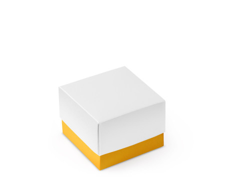 Schöne Geschenkbox mit Deckel und Schleife