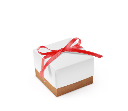Schöne Geschenkbox mit Deckel und Schleife