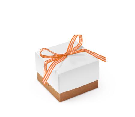 Bonita Caja Regalo con Tapa y Lazo Decorativo