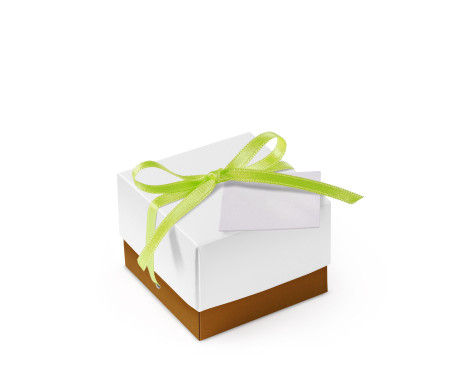 Schöne Geschenkbox mit Deckel und Schleife