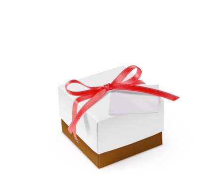 Pretty Gift Box with Lid and Decorative Bow