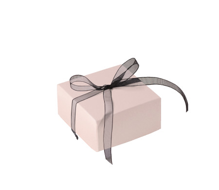 Schöne Geschenkbox mit Deckel und Schleife