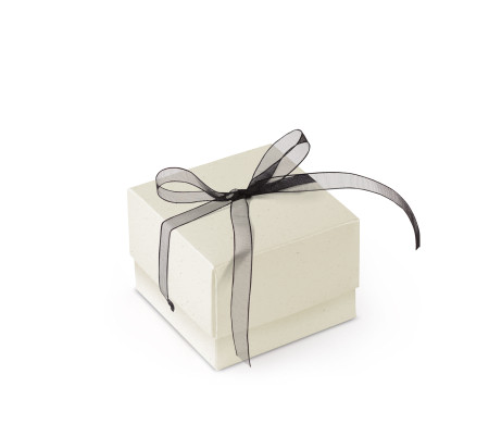 Schöne Geschenkbox mit Deckel und Schleife