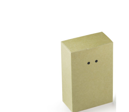 Cardboard Gift Box with a Very Original Fastener
