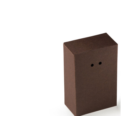 Cardboard Gift Box with a Very Original Fastener