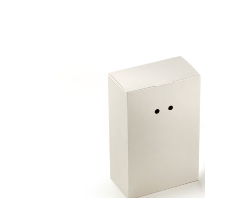 Caja Regalo de Cartón con Un Cierre Muy Original