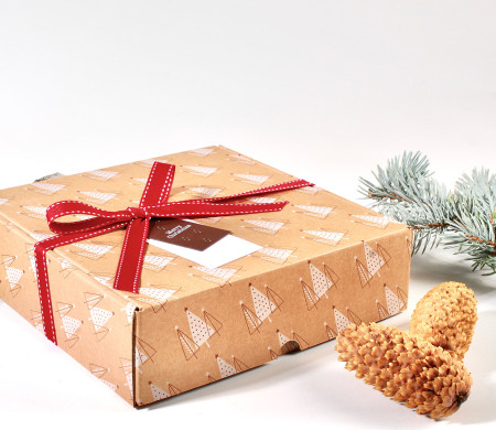 Boîte postale carrée | Résistante et auto-montable