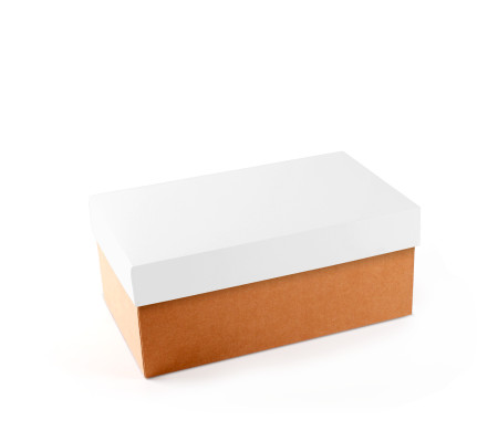 Cardboard Shoeboxes | SelfPackaging.