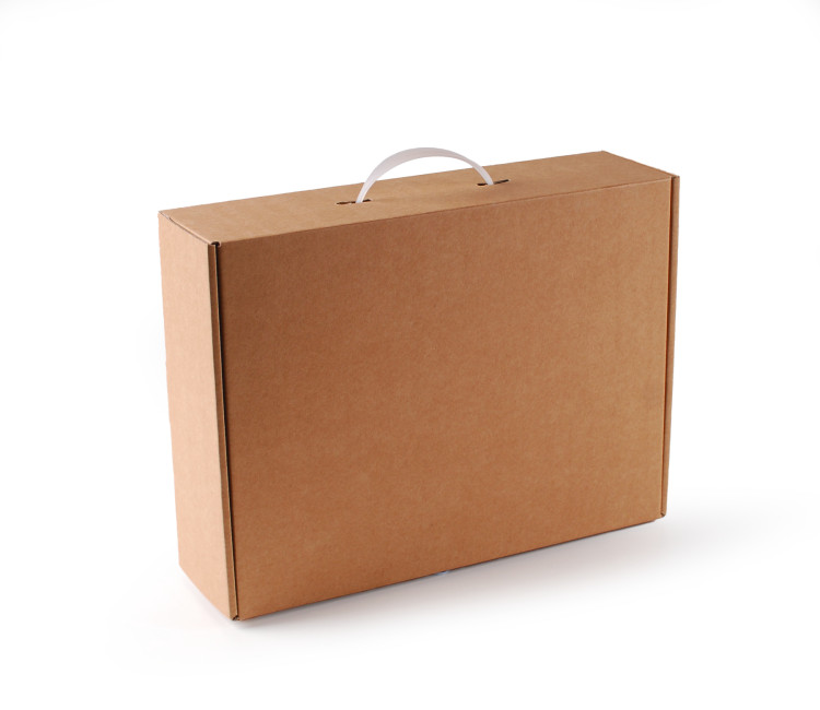 Carrying Case Box with Handle