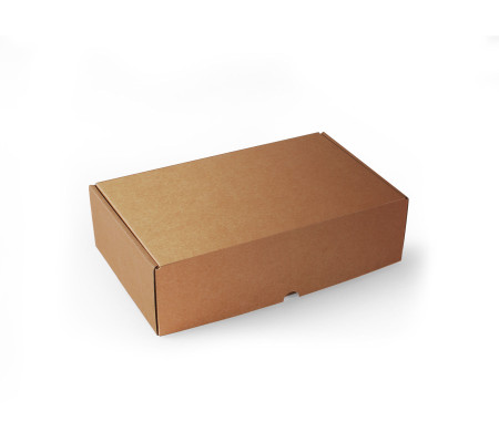 Caja Rectangular Pequeña Automontable | SelfPackaging