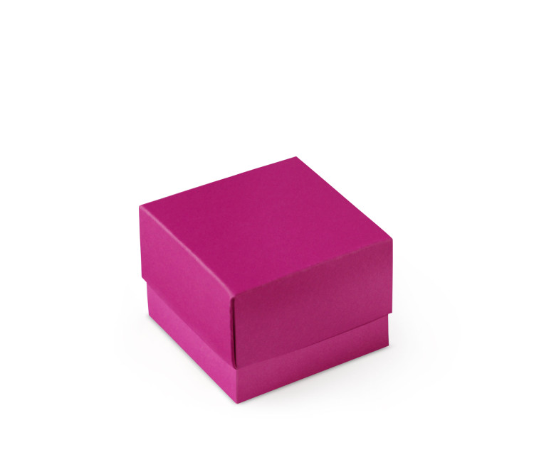 Bonita Caja Regalo con Tapa y Lazo Decorativo Bonita Caja Regalo con Tapa y Lazo Decorativo