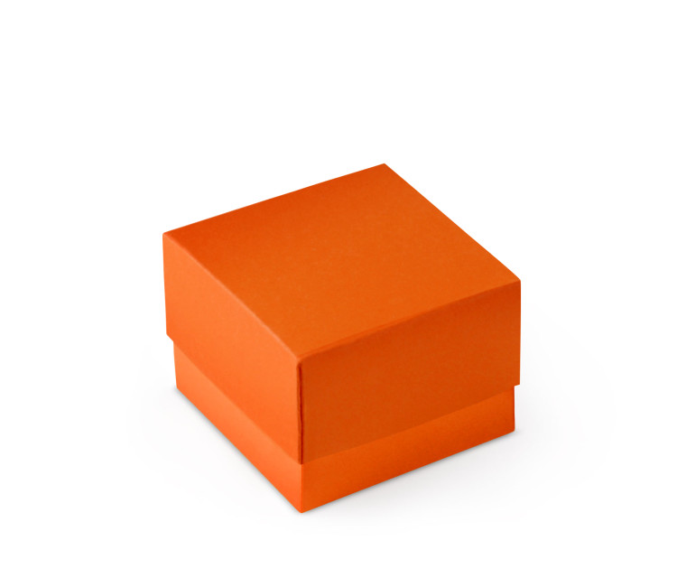 Bonita Caja Regalo con Tapa y Lazo Decorativo Bonita Caja Regalo con Tapa y Lazo Decorativo