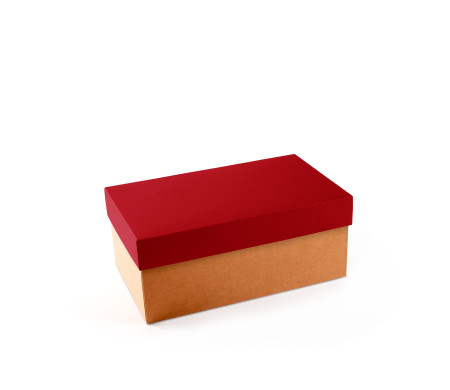 Cardboard Shoeboxes | SelfPackaging.