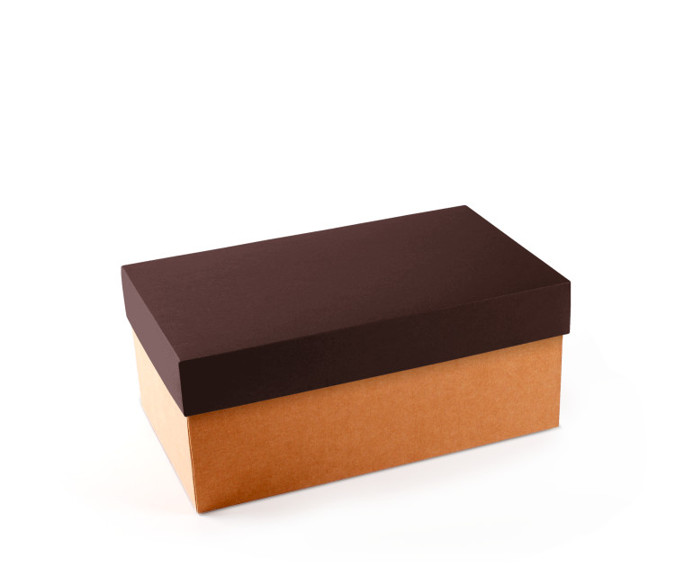 Cardboard Shoeboxes | SelfPackaging.