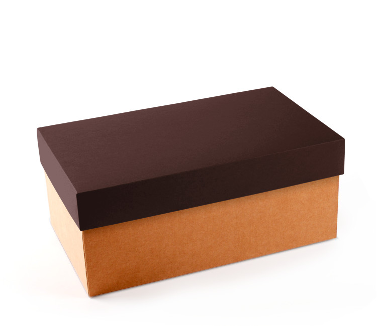 Cardboard Shoeboxes | SelfPackaging.