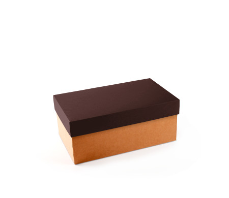 Caja para Zapatos ¡Organiza tu Calzado!