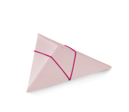 Shop Triangular Cardboard Box | SelfPackaging