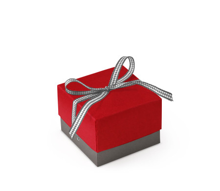 Bonita Caja Regalo con Tapa y Lazo Decorativo