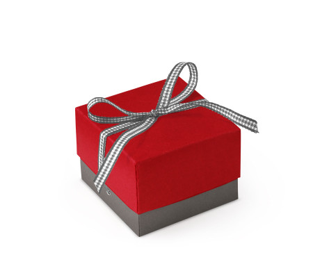 Graziosa Scatola Regalo con Coperchio e Fiocco Decorativo 