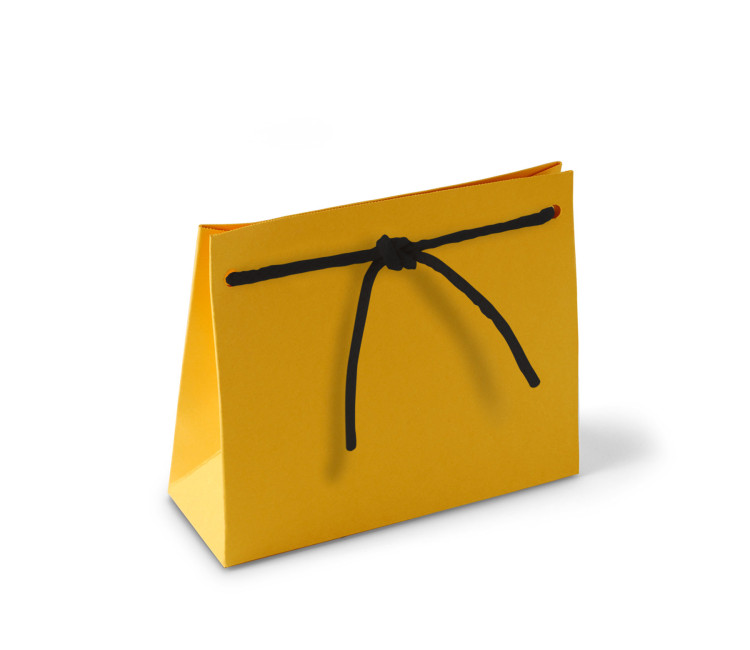 Paper Gift Bag With Cord - SelfPackaging