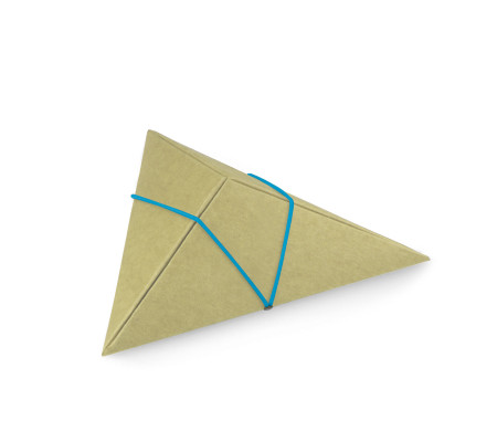 Shop Triangular Cardboard Box | SelfPackaging