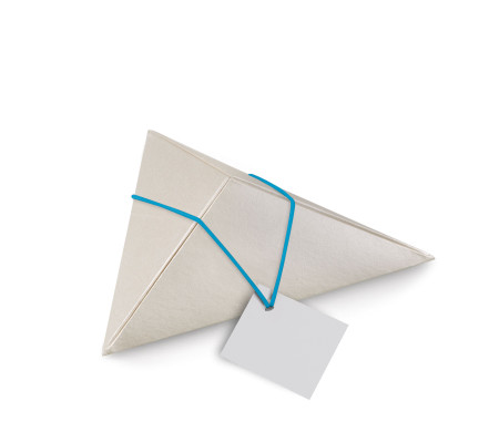 Shop Triangular Cardboard Box | SelfPackaging