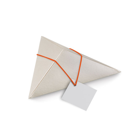 Shop Triangular Cardboard Box | SelfPackaging
