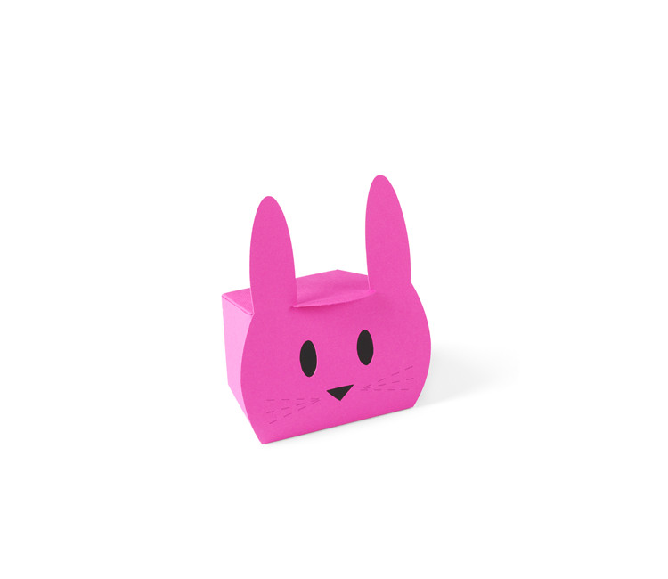 Caja de Cartón en Forma de Conejo Simpático