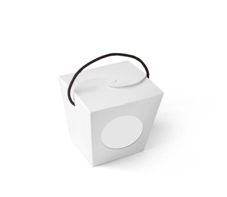 Shop Chinese Take Away Gift Box | SelfPackaging