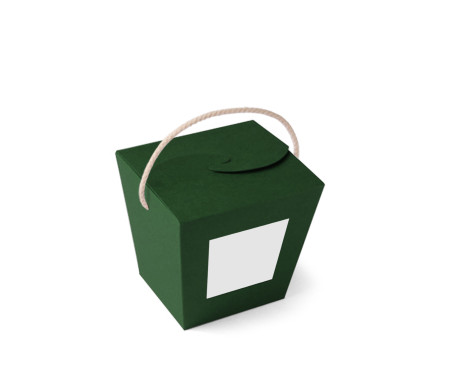 Shop Chinese Take Away Gift Box | SelfPackaging