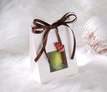 Little gift bag for Christmas