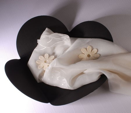 Idea: Scatola per Fazzoletti/Foulard | SelfPackaging