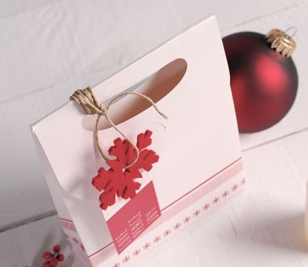 Sachet Cadeau de Noël pour Boutiques