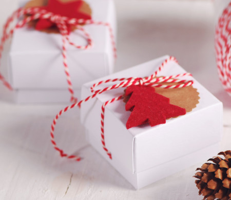 Cajita Regalo Joyas para Navidad Cajita Regalo Joyas para Navidad