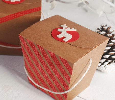 Boîte Plate avec Décoration de Noël
