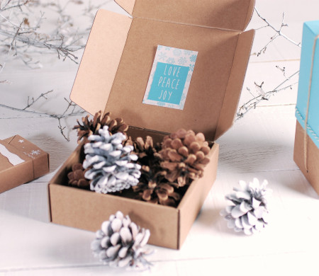 Versandbox für Weihnachtsgeschenke | Premium Packaging