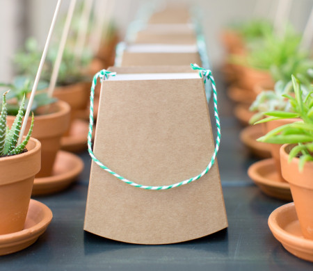 Bomboniera Matrimonio Originale con Vasetti | SelfPackaging