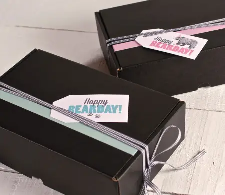 Caja decorada "Happy Bearday"