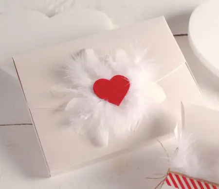 Caja con Corazón y Plumas ¡Una Idea con Amor!