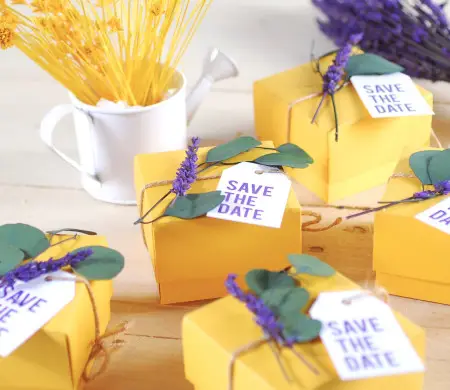 Petite boîte Save the date