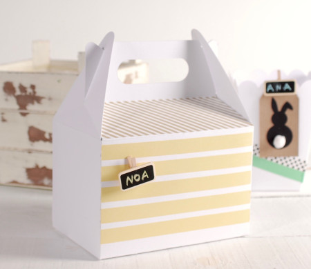 Picnic Box for Birthdays, Surprise everyone!