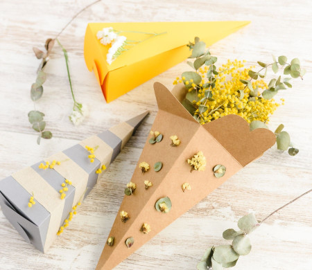 Spring cones Spring cones