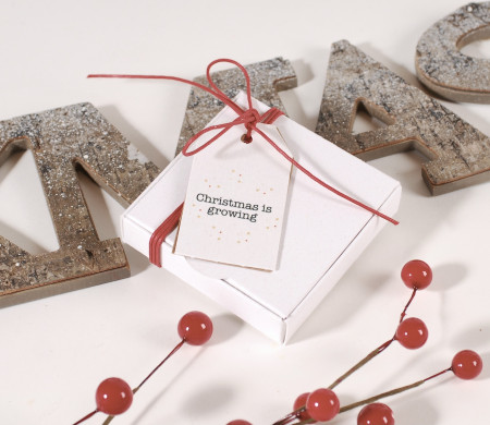 Scatola di Natale bianca economica