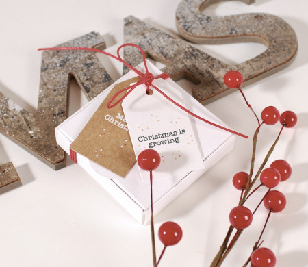 Cheap white Christmas box Cheap white Christmas box